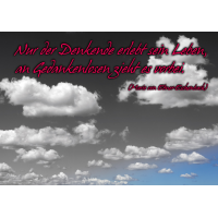 DenkARTen - Postkarte im Format 15 x 10cm - Sprüche...