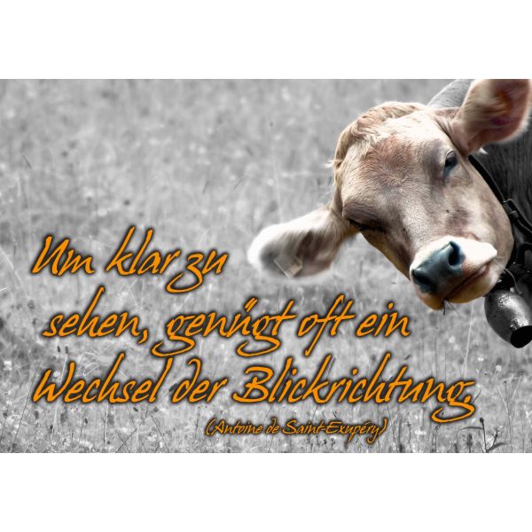 DenkARTen - Postkarte im Format 15 x 10cm - Sprüche - Fotokarten - Um klar zu sehen,...