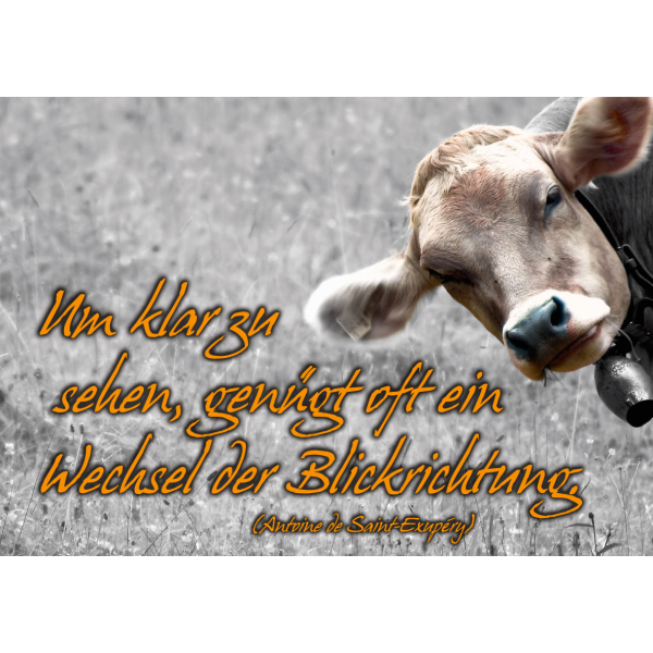 DenkARTen - Postkarte im Format 15 x 10cm - Sprüche - Fotokarten - Um klar zu sehen,...