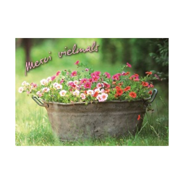 Gänseblümchen - Postkarte im Format 10,5 x 14,8 cm - Merci vielmals