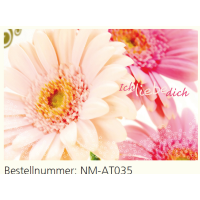 Allgemeine Wünsche - Nice Moments - Augentraum...