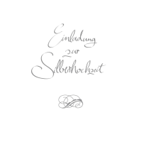 Silberhochzeit  Einladung 5 Karten 5 Umschläge im...