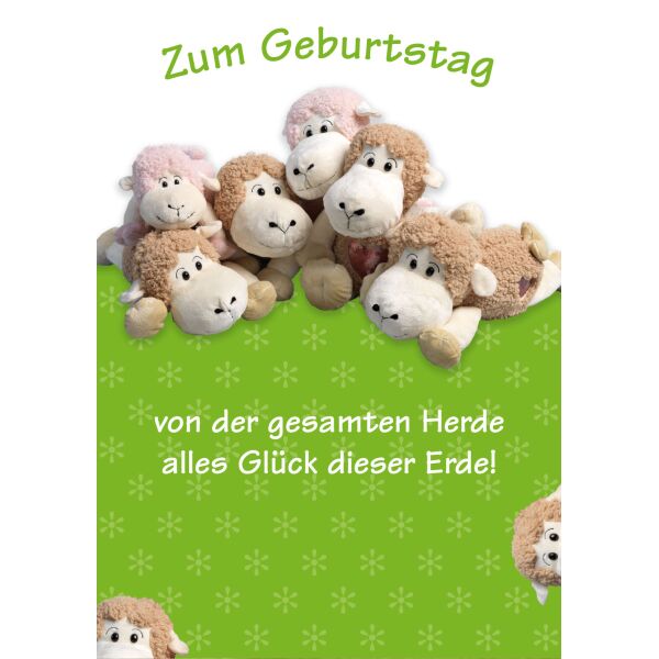 Geburtstag große A4 XXL Karte mit Umschlag Schafe von der gesamten Herde alles Glück dieser Erde