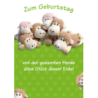 Geburtstag große A4 XXL Karte mit Umschlag Schafe...