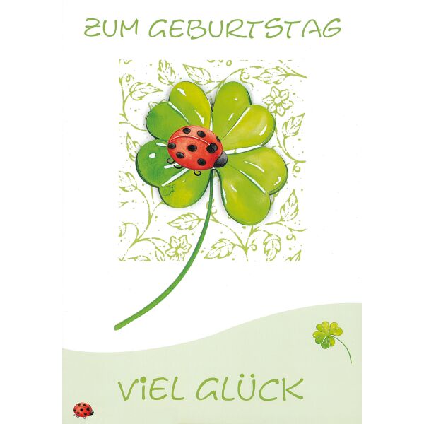 Geburtstag Collage große A4 XXL Karte mit Umschlag Kleeblatt Marienkäfer Viel Glück