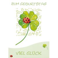 Geburtstag Collage große A4 XXL Karte mit Umschlag...