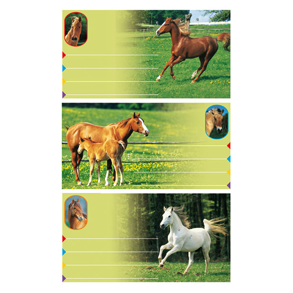 Sticker Buchetikett Aufkleber Pferde Fotos 3 Bögen in der Packung