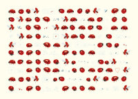Ohne Text Skorpions Art - Postkarte im Format 11,5 x 17 cm