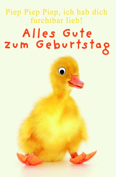 Geburtstag - piep Show mit Wackelaugen - Glückwunschkarte im Format 11,5 x 17 cm mit Umschlag - Ente – Alles Gute zum Geburtstag