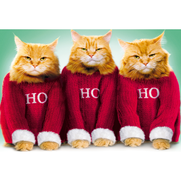 Weihnachten Glückwunschkarte mit Umschlag  Katzen HO HO HO