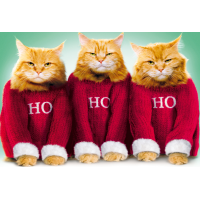 Weihnachten Glückwunschkarte mit Umschlag  Katzen HO...