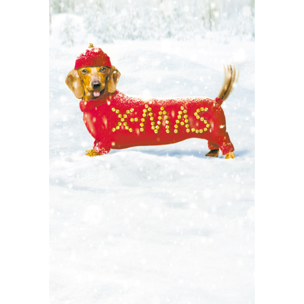 Weihnachten – Ohne Text - Premium Line - Glückwunschkarte im Format 11,5 x 17 cm mit Briefumschlag