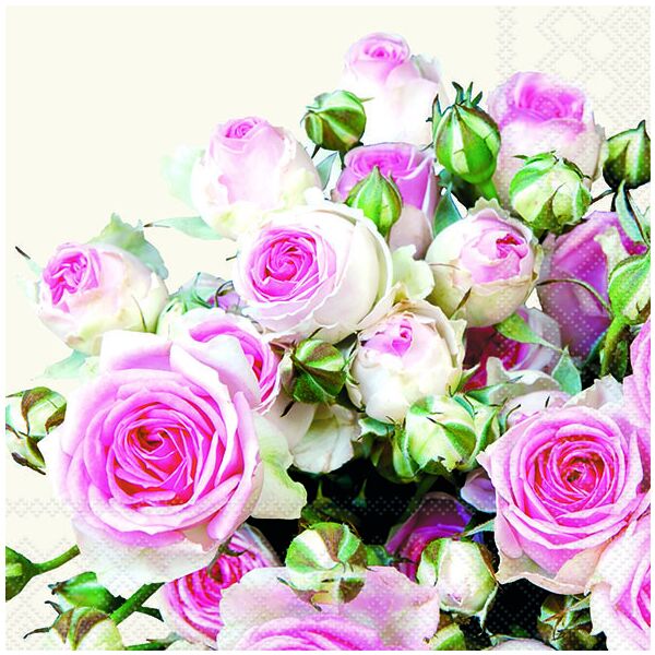 Servietten Lunch Rosen rosa Maxima Cream 33x33cm 20 Servietten