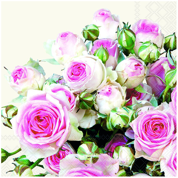 Servietten Lunch Rosen rosa Maxima Cream 33x33cm 20 Servietten