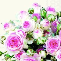 Servietten Lunch Rosen rosa Maxima Cream 33x33cm 20...