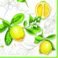 Servietten Lunch Zitronen Citrus Limonum 20 Servietten...