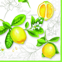 Servietten Lunch Zitronen Citrus Limonum 20 Servietten...