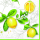 Servietten Lunch Zitronen Citrus Limonum 20 Servietten 3-lagig