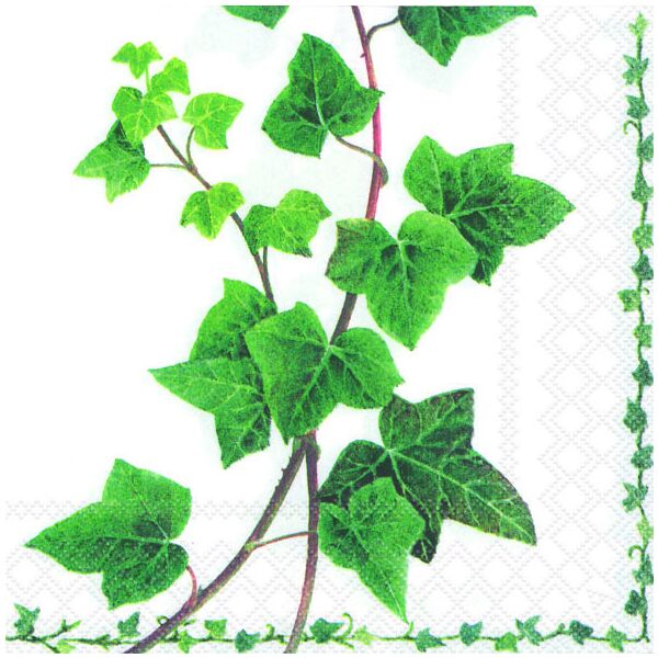Servietten Lunch Efeu Ranken Ivy Tendril 33x33cm 20 Servietten, 3,95