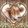 Servietten Lunch – Napkin Lunch – Format: 33 x 33 cm – 3-lagig – 20 Servietten pro Packung - Cow in Heart – Kuh guckt durch Herz - Ambiente