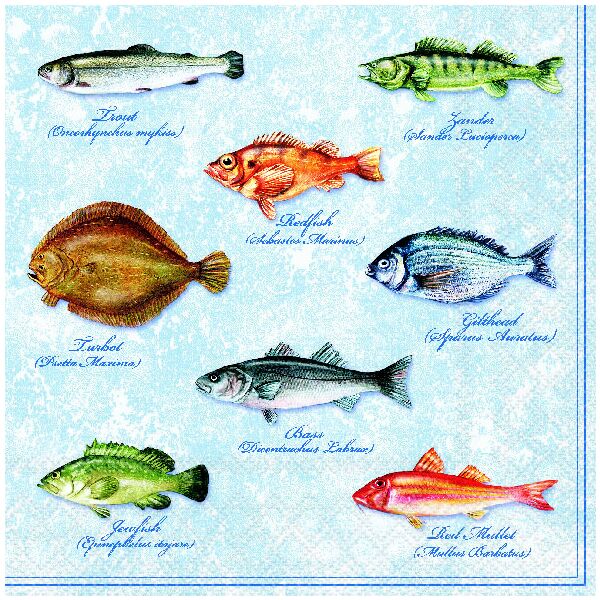 Servietten Lunch 33x33 cm 3-lagig 20 Servietten Fishes Fische Maritim Fischarten
