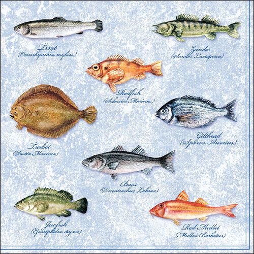 Servietten Lunch – Napkin Lunch – Format: 33 x 33 cm – 3-lagig – 20 Servietten pro Packung - Fishes – Fische - Ambiente