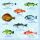 Servietten Lunch 33x33 cm 3-lagig 20 Servietten Fishes Fische Maritim Fischarten