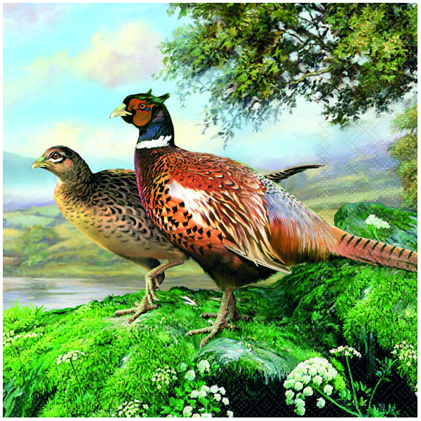 A Servietten Lunch 33x33 cm 3-lagig 20 Servietten Pheasant Fasane