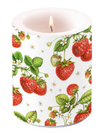 Kerze gross – Candle Big – Format: Ø 12 cm x 10 cm – Brenndauer: 75 Std. - 1 Kerze pro Packung - Strawberry Plant – Erdbeerpflanze
