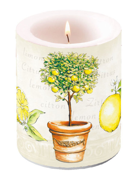 Kerze gross – Candle Big – Format: Ø 12 cm x 10 cm – Brenndauer: 75 Std. - 1 Kerze pro Packung - Lemon Cream