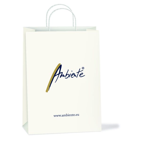 Geschenktasche Giftbag 22 x 13 x 25 cm Beigabetüte weiß