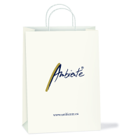 Geschenktasche Giftbag 22 x 13 x 25 cm Beigabetüte...