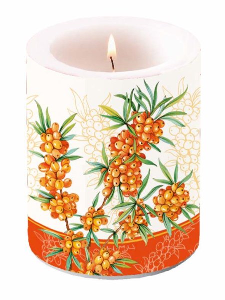 Kerze gross – Candle Big – Format: Ø 12 cm x 10 cm – Brenndauer: 75 Std. - 1 Kerze pro Packung – Pflanze