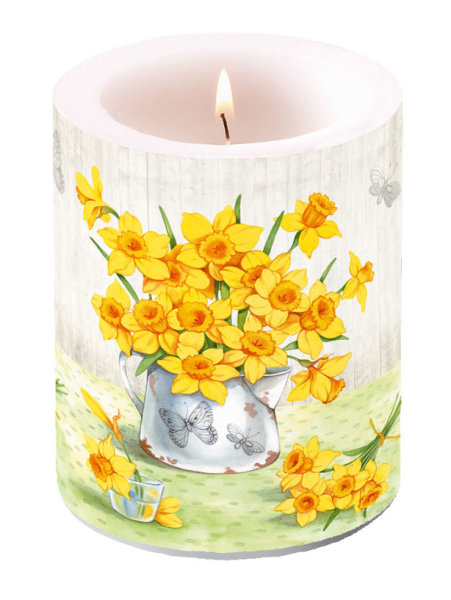 Kerze gross – Candle Big – Format: Ø 12 cm x 10 cm – Brenndauer: 75 Std. - 1 Kerze pro Packung - Narcissus – Narzissen