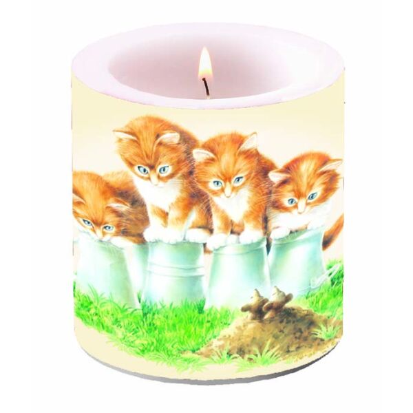 Kerze klein Candle small Format: Ø 7,5 cm x 9 cm 1 Kerze pro Packung Four Kittens vier Kätzchen