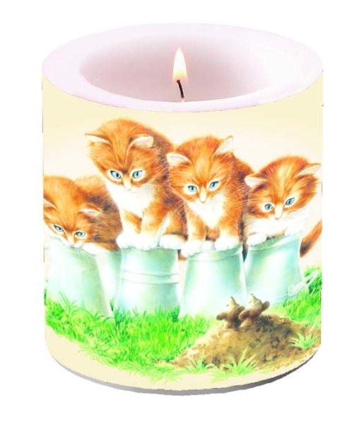 Kerze klein – Candle small – Format: Ø 7,5 cm x 9 cm – Brenndauer: 35 Std. - 1 Kerze pro Packung - Four Kittens – vier Kätzchen - Ambiente
