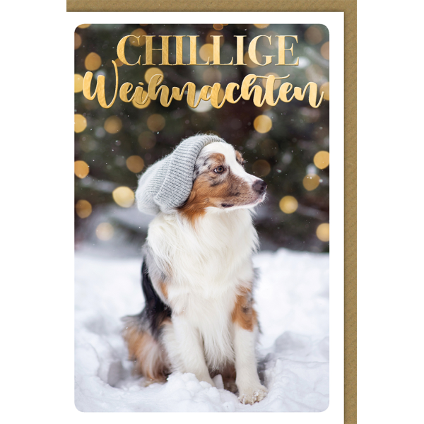Weihnachtskarte mit Umschlag chillige Weihnachten mit Hund
