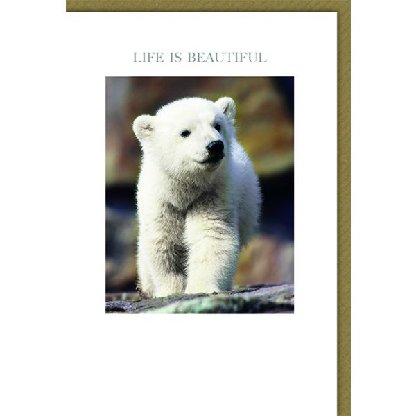 Allgemeine Wünsche Karte mit Umschlag Eisbär Life is beautiful