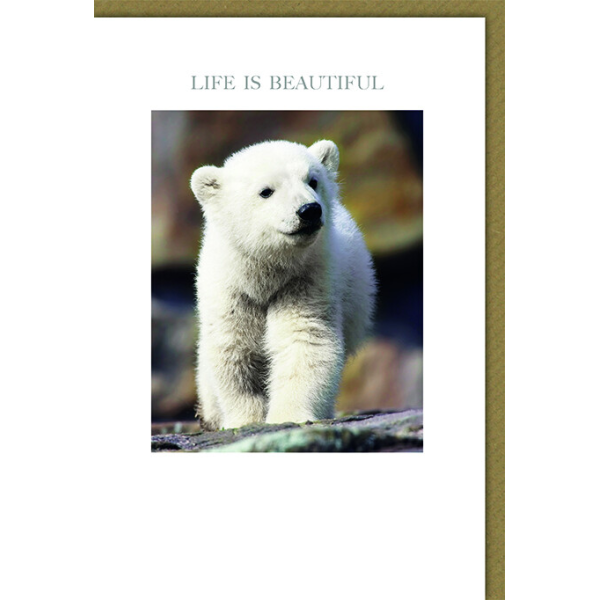Allgemeine Wünsche Karte mit Umschlag Eisbär Life is beautiful