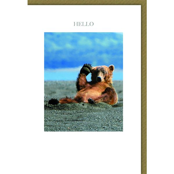 Allgemeine Wünsche Karte mit Umschlag Hello Braunbär