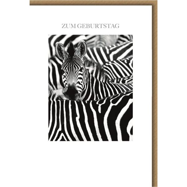 Geburtstag Glückwunschkarte mit Umschlag Zebras