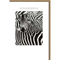 Geburtstag Glückwunschkarte mit Umschlag Zebras