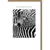 Geburtstag Glückwunschkarte mit Umschlag Zebras