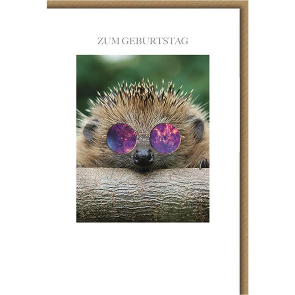 Geburtstag - Glückwunschkarte im Format 11,5 x 17 cm mit Umschlag - Igel mit Sonnenbrille - Verlag Dominique