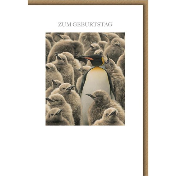 Geburtstag Glückwunschkarte mit Umschlag Pinguine