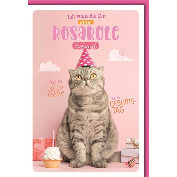 Geburtstag La Vida Glückwunschkarte mit Umschlag Katze mit rosa Partyhut