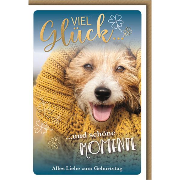 Geburtstag Glücksmomente Glückwunschkarte mit Umschlag Viel Glück, Hunde im Pulli