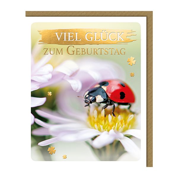 Geburtstag Glückwunschkarte mit Umschlag - Viel Glück Marienkäfer
