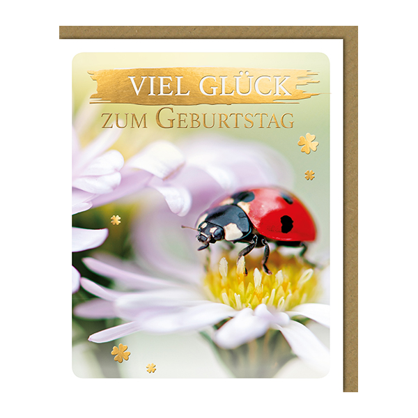 Geburtstag Glückwunschkarte mit Umschlag - Viel Glück Marienkäfer