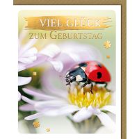 Geburtstag Glückwunschkarte mit Umschlag - Viel...